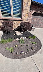 Freshly mulched front bed with new plants and drip line by a brick home