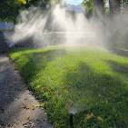 Sprinkler heads watering a green lawn strip at sunrise