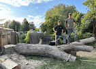 Two Everwork crew members standing on a large cut tree trunk after a removal